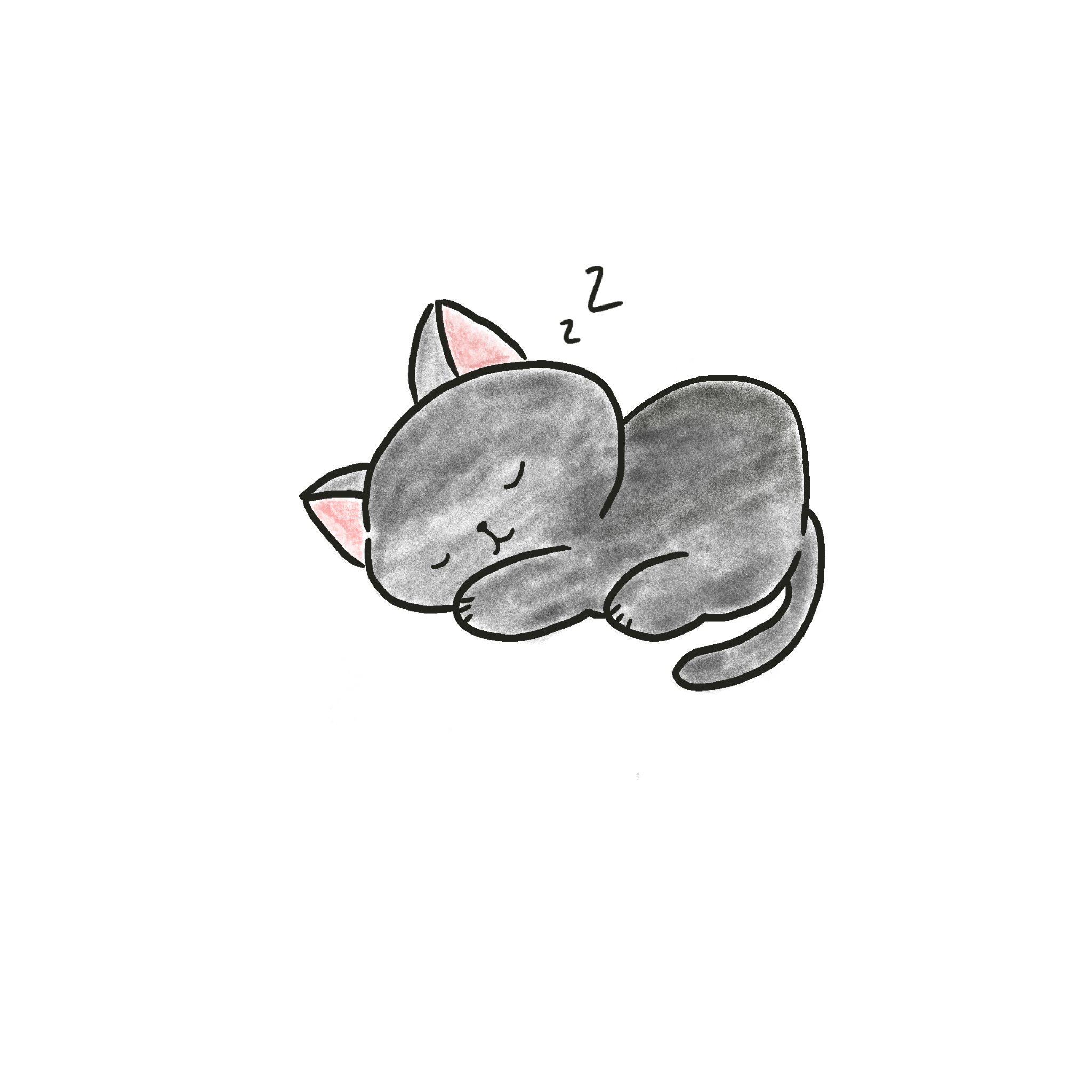 Sleeping cat